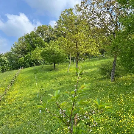 Tuffati Nel Relax Tra Modena, Reggio E Natura! * Toano