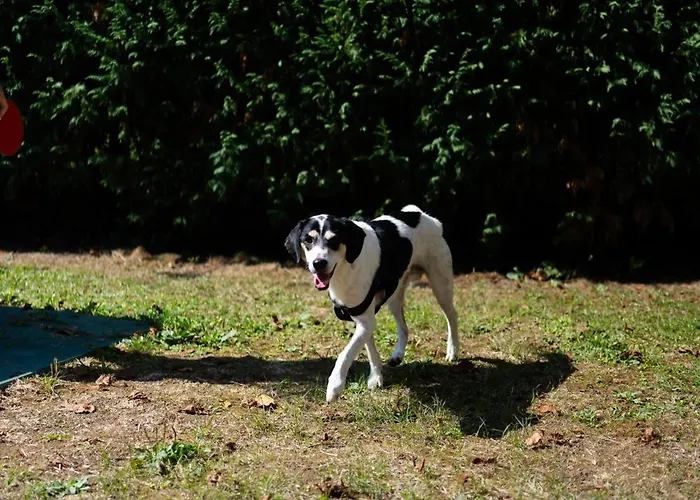 Apartamento Tra Emilia E Toscana - Country Retreat & Outdoor