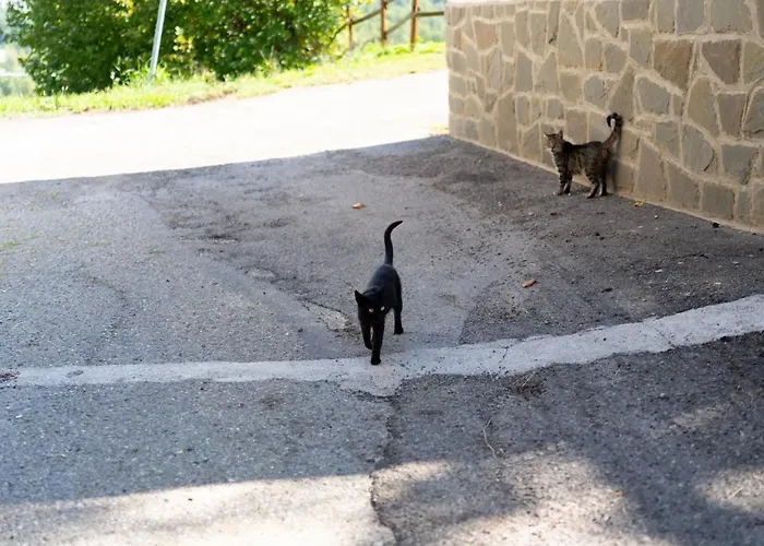 Tra Emilia E Toscana - Country Retreat & Outdoor Apartamento *